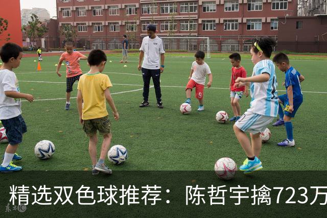 精选双色球推荐：陈哲宇擒723万 8人同中5+1